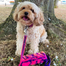 Load image into Gallery viewer, Dog Training Treat Bag Obedience Retrieve Furry Long Prey Dummy In Various Colours Large 7" long x 4"