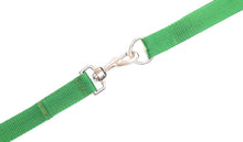 Load image into Gallery viewer, Dog Training Lead 5ft - 100ft Long Strong Tracking Leash Recall Line In 7 Colours 25mm Webbing