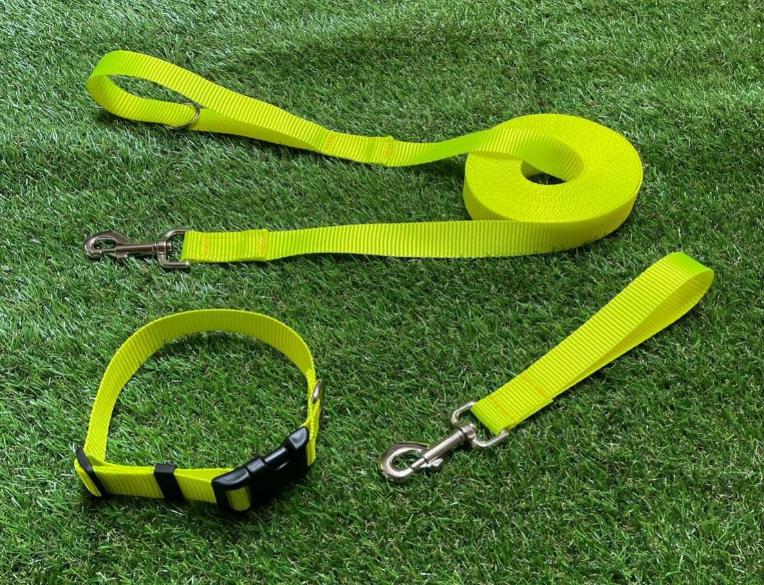 Dog Collar In 25mm Fluorescent Yellow Webbing Adjustable In Various Sizes