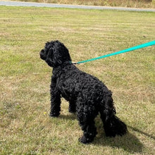 Load image into Gallery viewer, 76" Short Dog Walking Lead Leash 20mm 25mm Wide Cushion Webbing In 18 Colours