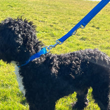 Load image into Gallery viewer, Adjustable Dog Collars 25mm Cushion Webbing In Various Colours And Sizes Small Medium Large