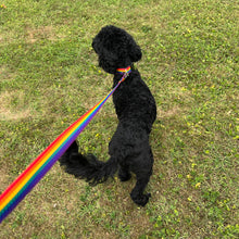 Load image into Gallery viewer, Rainbow Dog Training Leads Long Line Tracking Recall 25mm Wide