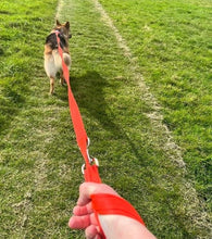 Load image into Gallery viewer, Police Style Dog Training Leads Double Ended Obedience Leash Multi-Functional 25mm Cushion Webbing