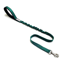 Load image into Gallery viewer, Shock Absorbing Bungee Dog Lead Training Walking Leash With Soft Padded Handle