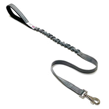 Load image into Gallery viewer, Shock Absorbing Bungee Dog Lead Training Walking Leash With Soft Padded Handle