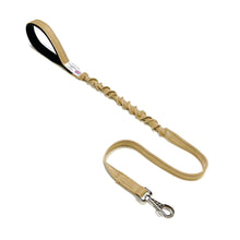 Load image into Gallery viewer, Shock Absorbing Bungee Dog Lead Training Walking Leash With Soft Padded Handle