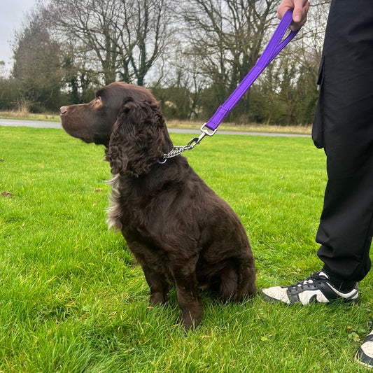 18" Short Close Control Dog Training Lead Leash 25mm Cushion Webbing In 19 Colours