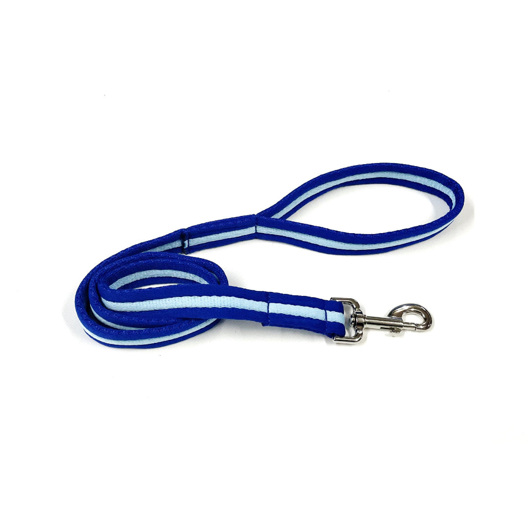 Dog Lead Walking Leash Short Training Lead 45" And 76" Long 20mm 25mm Soft Air Webbing In Various Colours
