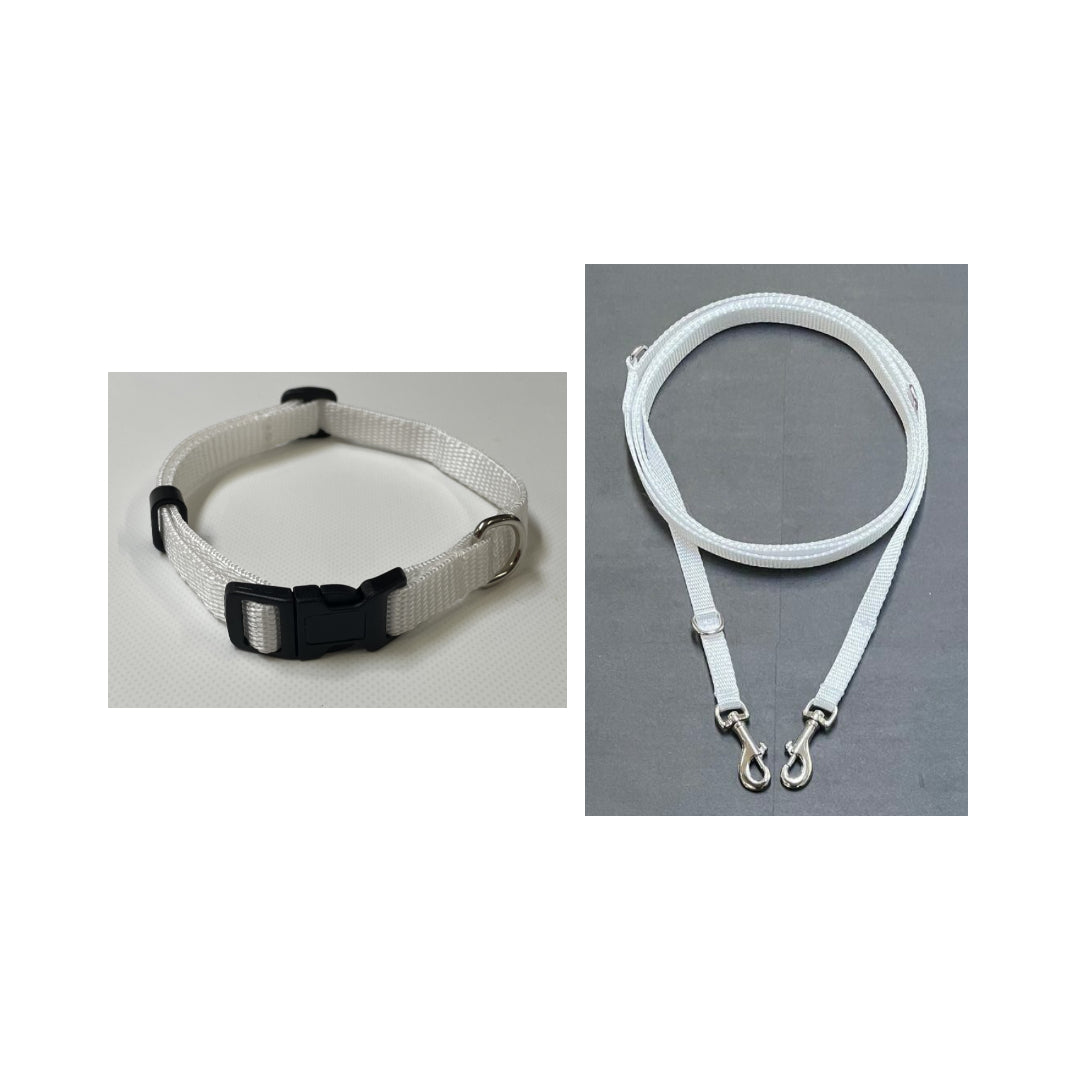 Dog Collar And Police Style Dog Lead Set 13mm Webbing Small Collar In Various Lengths And Matching Colours