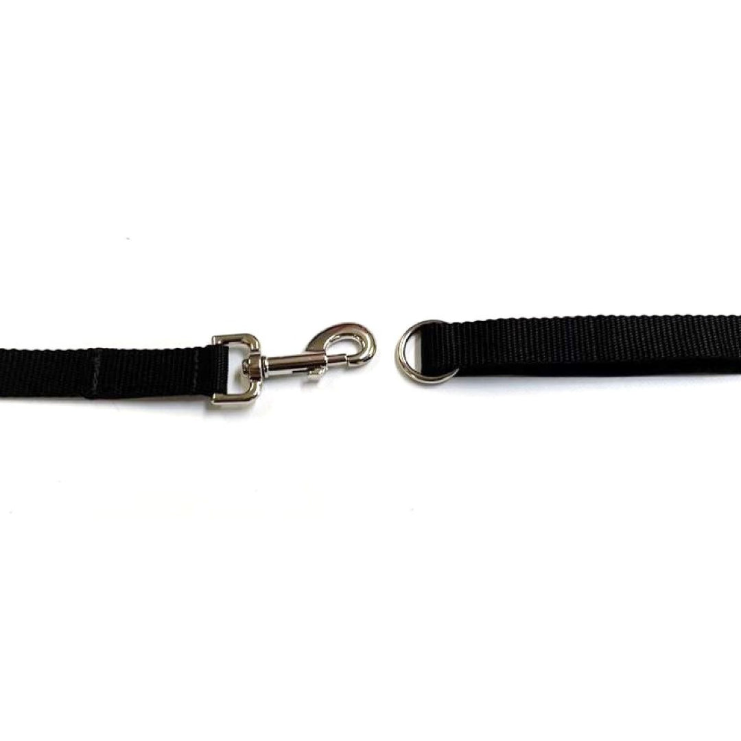 Dog Training Lead 25mm Heavy Webbing 40ft - 100ft Long Line Tracking Recall In 21 Colours