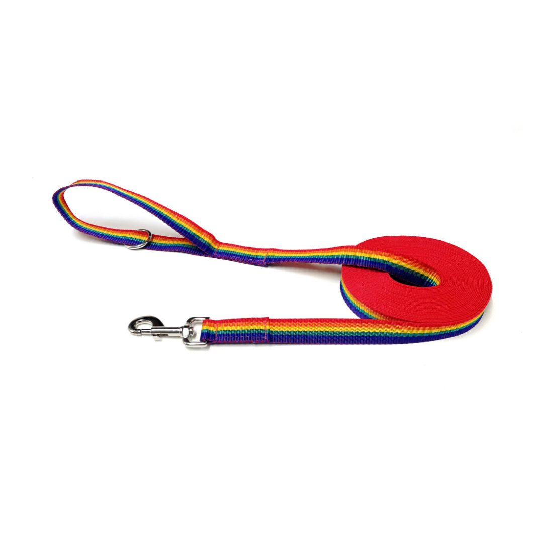 Dog Training Lead 25mm Heavy Webbing 5ft - 30ft Long Line Tracking Recall In 21 Colours