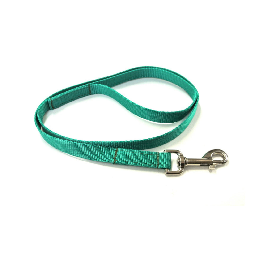 76" Long Puppy Dog Walking Lead Leash 20mm Wide Strong Durable Webbing In 19 Colours