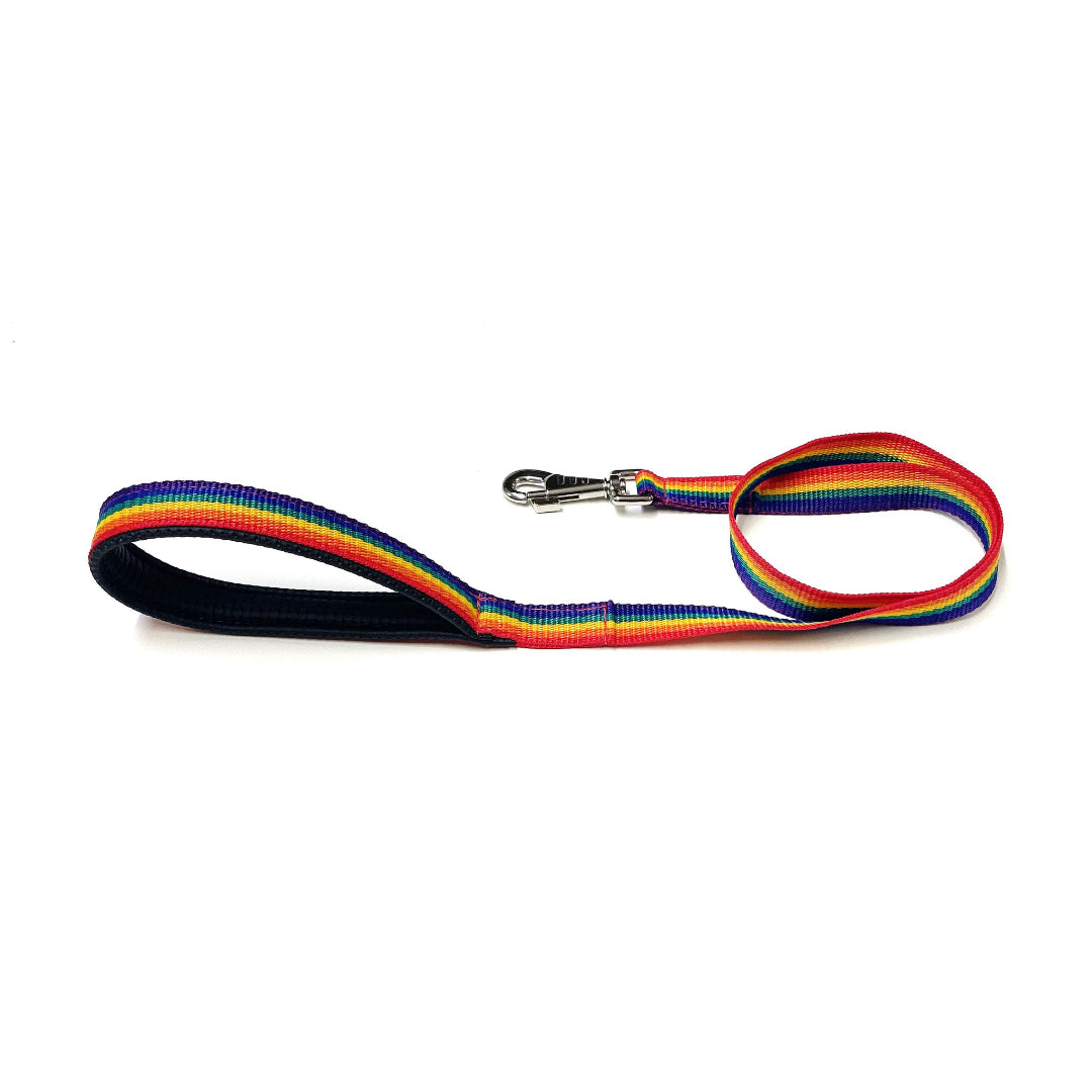 Short Dog Lead Padded Handle 45" 76" Leash Strong 25mm H/D Webbing 21 Colours
