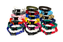 Load image into Gallery viewer, Adjustable Dog Collars 25mm Cushion Webbing In Various Colours And Sizes Small Medium Large