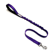 Load image into Gallery viewer, Shock Absorbing Bungee Dog Lead Training Walking Leash With Soft Padded Handle