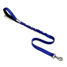Load image into Gallery viewer, Shock Absorbing Bungee Dog Lead Training Walking Leash With Soft Padded Handle