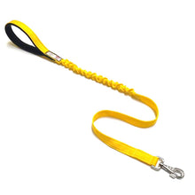 Load image into Gallery viewer, Shock Absorbing Bungee Dog Lead Training Walking Leash With Soft Padded Handle