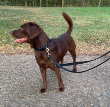 Load image into Gallery viewer, Police Style Dog Training Lead Double Ended Multi Functional Dual Walking Leash 20mm Air Webbing 5ft - 15ft