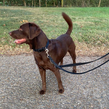 Load image into Gallery viewer, Police Style Dog Training Leads Double Ended Obedience Leash Multi-Functional 20mm Cushion Webbing