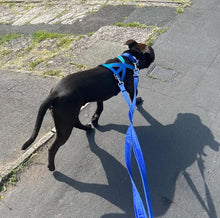 Load image into Gallery viewer, Police Style Dog Training Leads Double Ended Obedience Leash Multi-Functional 20mm Cushion Webbing