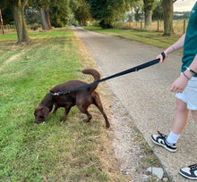 Load image into Gallery viewer, Police Style Dog Training Lead Double Ended Multi Functional Dual Walking Leash 20mm Air Webbing 5ft - 15ft