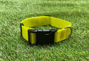 Dog Collar In 25mm Fluorescent Yellow Webbing Adjustable In Various Sizes