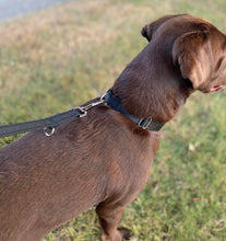 Load image into Gallery viewer, Police Style Dog Training Leads Double Ended Obedience Leash Multi-Functional 20mm Cushion Webbing