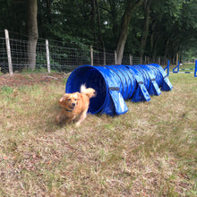 Load image into Gallery viewer, Dog Agility Tunnel Sandbags 60cm Diameter Non Adjustable All In One With Handles For Indoor And Outdoor UV PVC In Various Colours 300mm Material Width