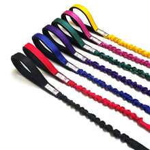 Load image into Gallery viewer, Shock Absorbing Bungee Dog Lead Training Walking Leash With Soft Padded Handle