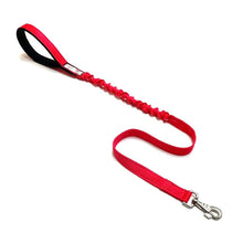 Load image into Gallery viewer, Shock Absorbing Bungee Dog Lead Training Walking Leash With Soft Padded Handle