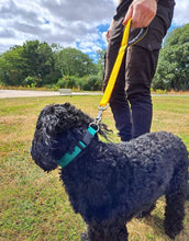 Load image into Gallery viewer, 20" Short Close Control Dog Lead With Padded Handle In Various Colours 25mm Webbing