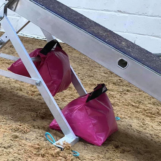 Dog Agility Seesaw Garden Play Equipment Sandbags Indoor Outdoor Apparatus PVC