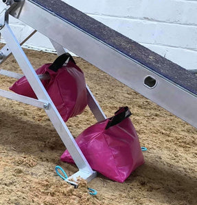 Dog Agility Seesaw Garden Play Equipment Sandbags Indoor Outdoor Apparatus PVC