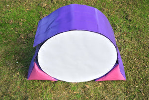 Dog agility tunnel sandbags in purple and cerise 