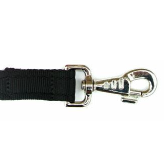 10ft 3m Large Dog Training Lead Horse Lunge Line 25mm Cushion Webbing In Various Colours