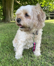 Load image into Gallery viewer, Police Style Dog Training Lead Double Ended Multi Functional Dual Walking Leash 20mm Air Webbing 5ft - 15ft