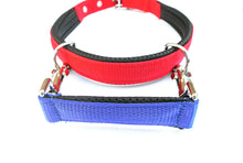 Load image into Gallery viewer, Padded Grab Handle Restraint For Dog Collars 9 Inch In 25mm Webbing In 19 Colours