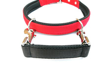 Load image into Gallery viewer, Padded Grab Handle Restraint For Dog Collars 9 Inch In 25mm Webbing In 19 Colours