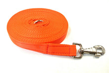 Load image into Gallery viewer, 10ft 3m Large Dog Training Lead Horse Lunge Line 25mm Cushion Webbing In Various Colours