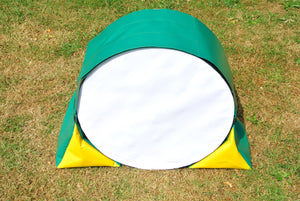 Dog agility tunnel sandbags in green and yellow