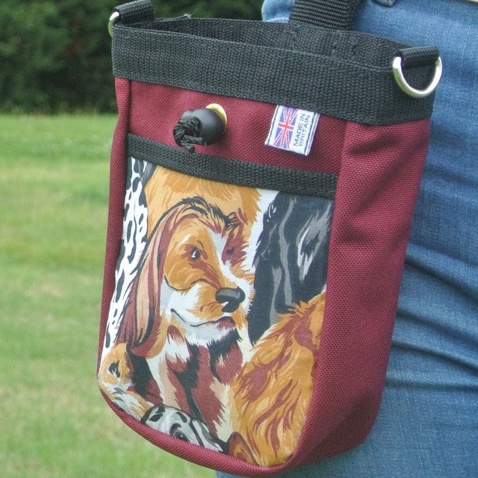 Multi-use Bag