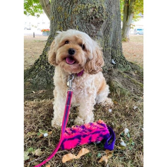 Dog Training Treat Bags
