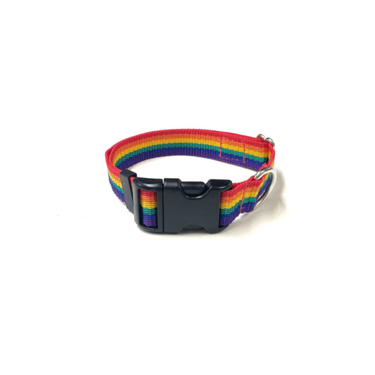 Rainbow Dog Collar In 25mm Webbing Strong Adjustable In Various Sizes