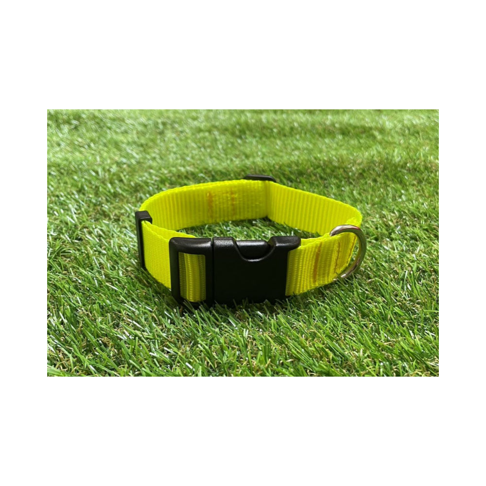 Dog Collar In 25mm Fluorescent Yellow Webbing Adjustable In Various Sizes