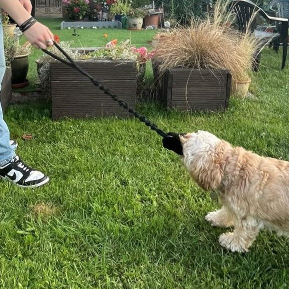 Chase & Tug Dog Toy - Dog Training Interactive Play Toy In 3 Lengths 19 Colours