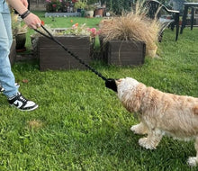 Load image into Gallery viewer, Chase &amp; Tug Dog Toy - Dog Training Interactive Play Toy In 3 Lengths 19 Colours