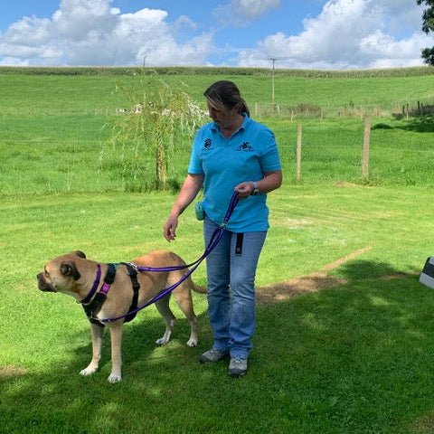 Sliding Handle With Swivel Ring In 25mm Air Webbing