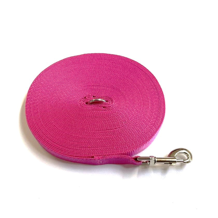 Dog Training Lead 25mm Heavy Webbing 5ft - 30ft Long Line Tracking Recall In 20 Colours