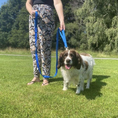 Dog Lead With Double Handle For Quick Grab Safety Control 2m Long Walking Leash