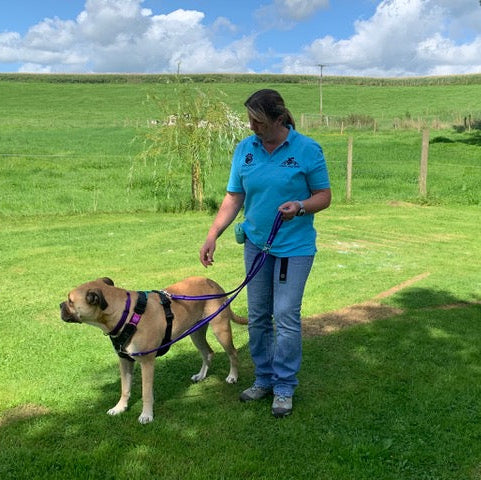 Double Ended Dog Lead With Sliding Swivel Handle Set In 20mm Air Webbing